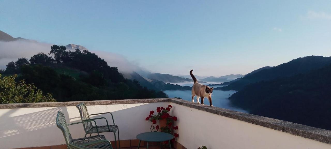 Bed and Breakfast Vis 101 Vista  Екстер'єр фото