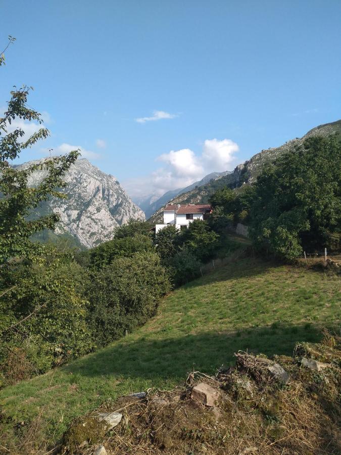 Bed and Breakfast Vis 101 Vista  Екстер'єр фото