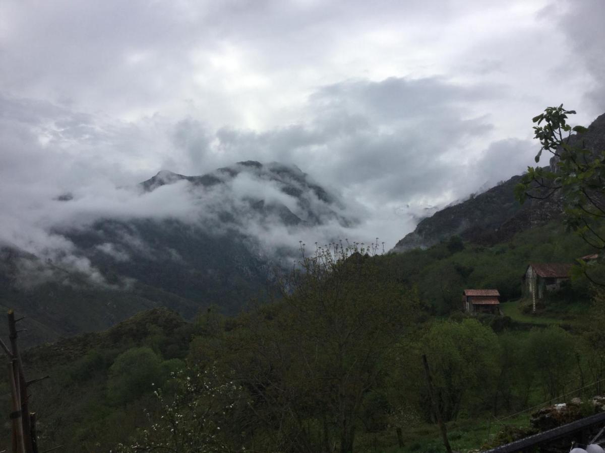 Bed and Breakfast Vis 101 Vista  Екстер'єр фото