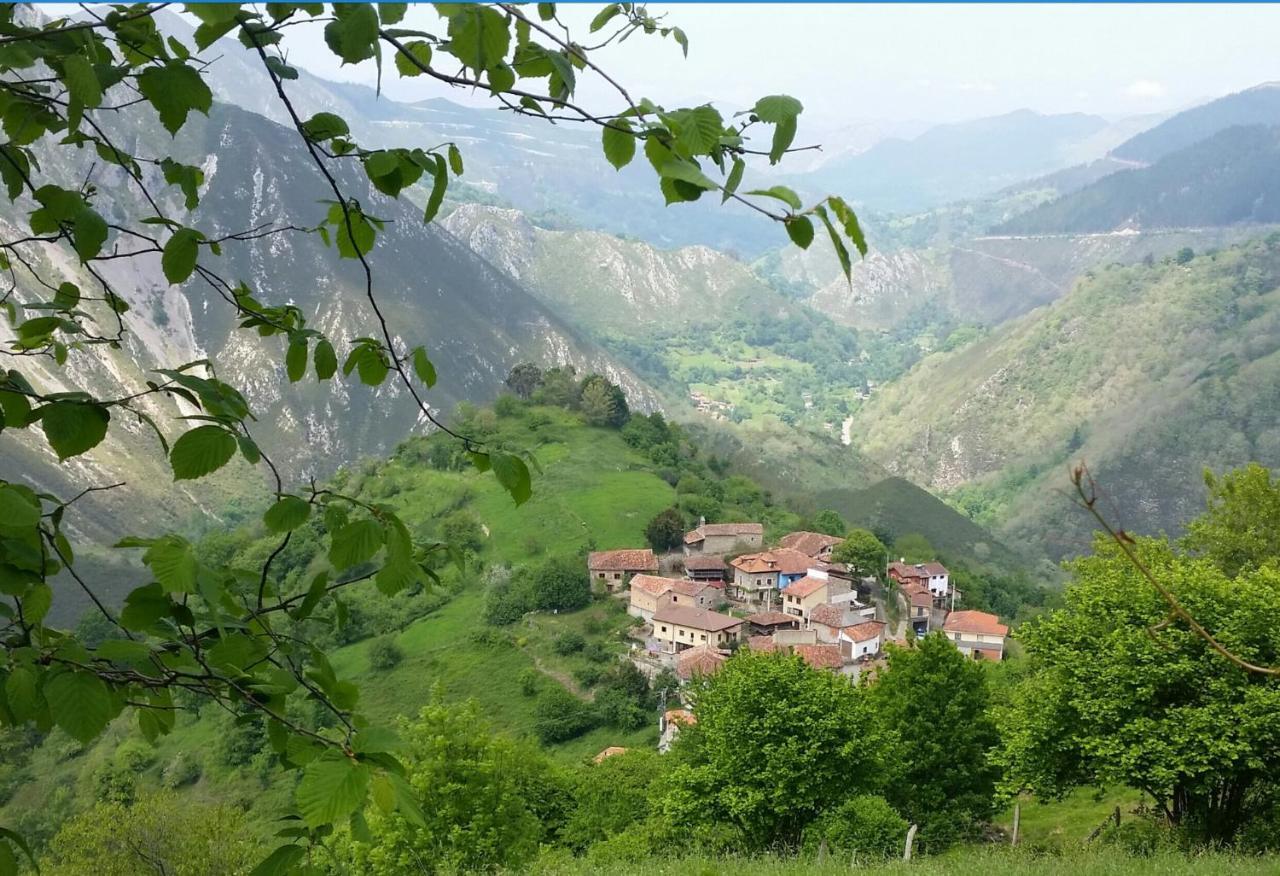 Bed and Breakfast Vis 101 Vista  Екстер'єр фото