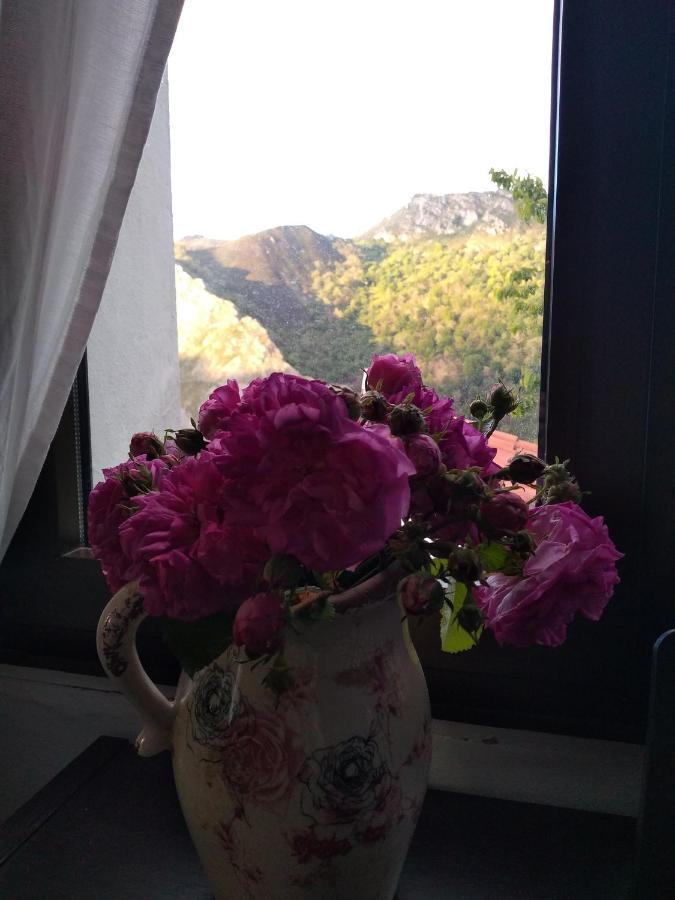 Bed and Breakfast Vis 101 Vista  Екстер'єр фото