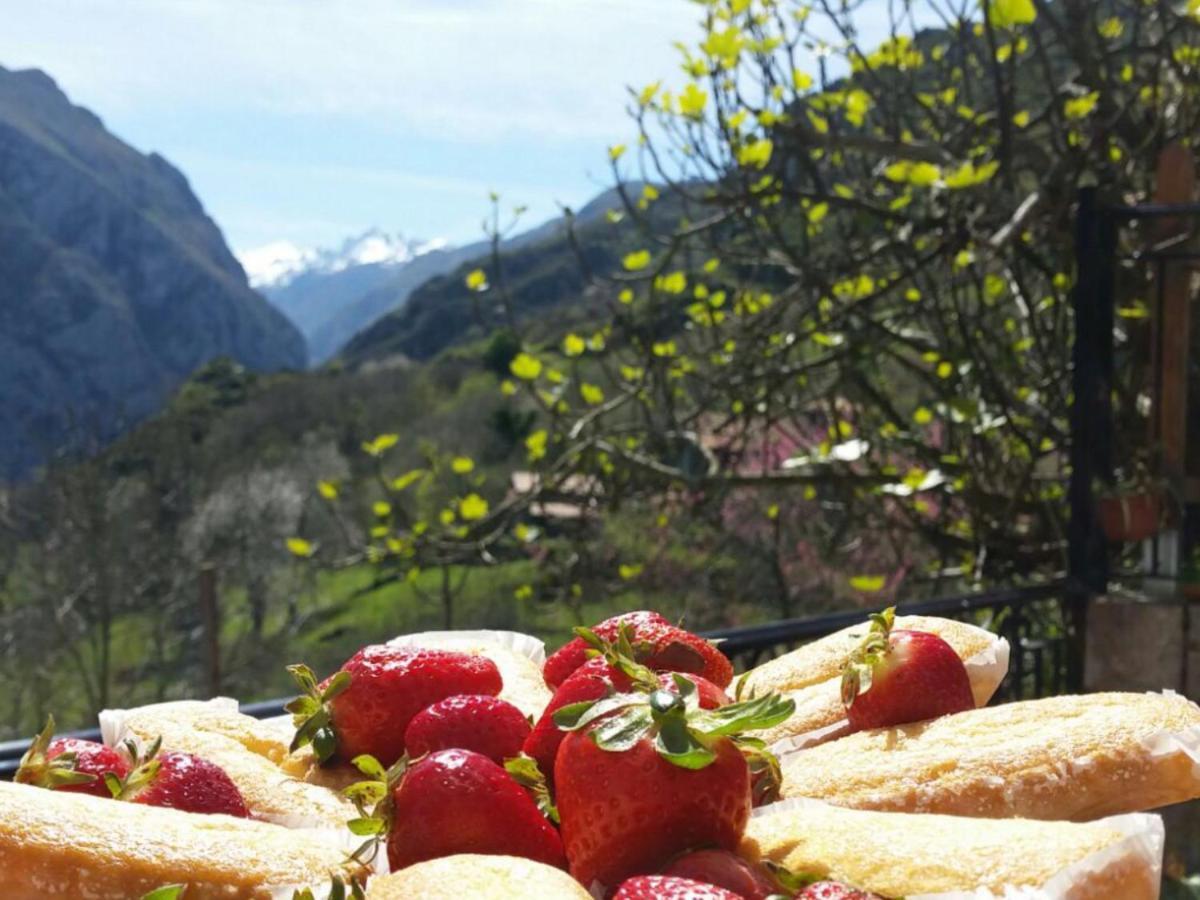 Bed and Breakfast Vis 101 Vista  Екстер'єр фото
